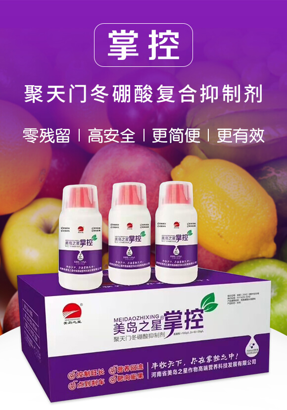 �����T�������(f��)�����Ƅ�-�ƿ�-���u֮��_01