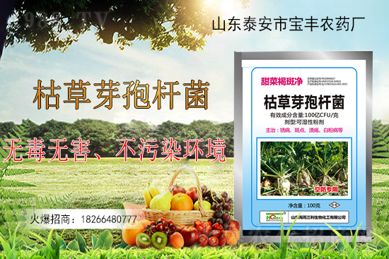 枯草芽孢桿菌能解決作物哪些問題?枯草芽孢桿菌在農(nóng)作物上的應用!