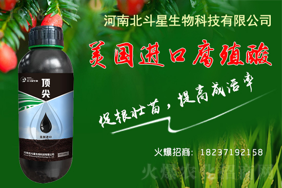 低溫條件下,大棚種植如何做到生根、養(yǎng)根、護根
