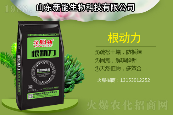 作物根部病害多原因在哪？解決病害生根措施怎么做？