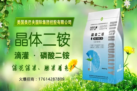 冬季茄果蔬菜蘸花如何避免藥害發(fā)生?蔬菜蘸花注意哪些問(wèn)題?