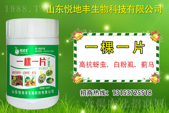 高抗蚜蟲、白粉虱、薊馬用什么打?一蟲不留?