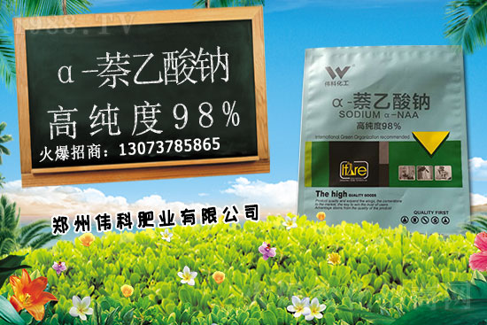 豆角種植時間是什么時候？豆角對環(huán)境條件有哪些要求？