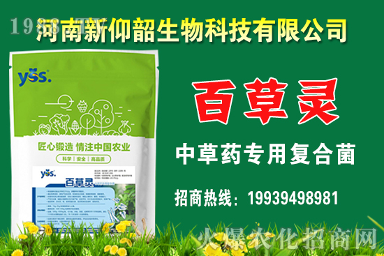 今年小麥價格還會漲嗎?2020年12月小麥價格行情如何?