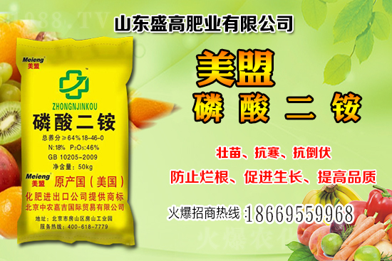 近期小麥價格還會繼續(xù)上漲嗎？12月小麥價格行情分析