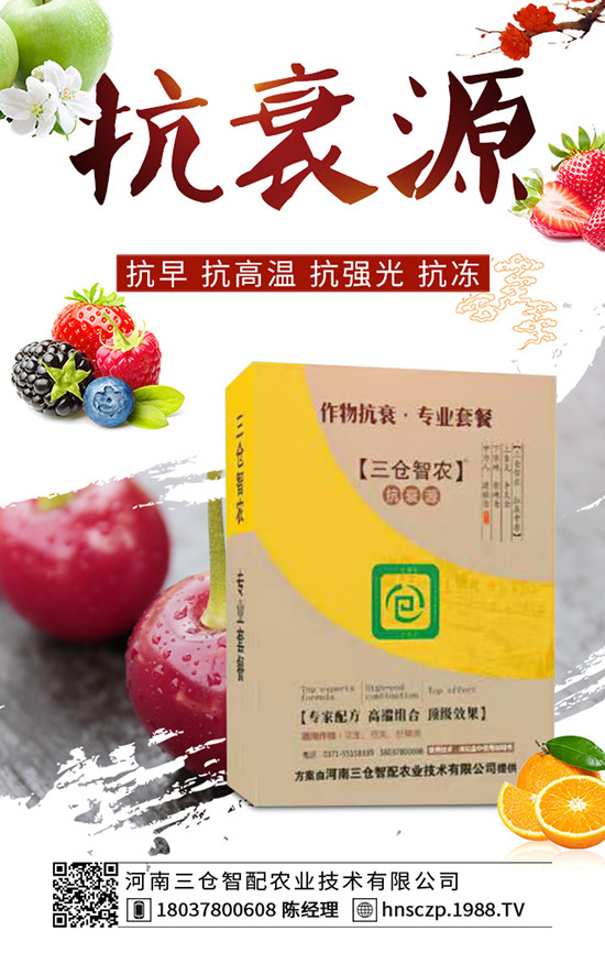 三月份適合種植什么蔬菜?三月份蔬菜種植注意事項(xiàng)!