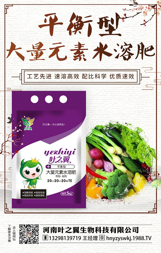 牡丹什么時候開花?如何延長牡丹開花時間?