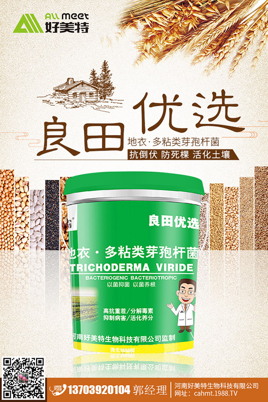 番茄青皮果到底什么原因？番茄青皮果如何有效預(yù)防？