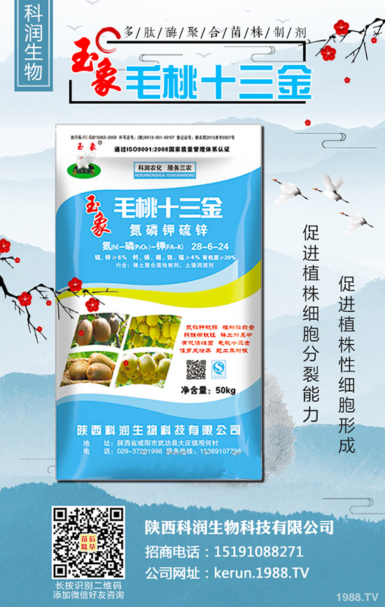     警惕：尿素連續(xù)漲價(jià)后，風(fēng)險(xiǎn)大嗎？2020-3-13各地最新報(bào)價(jià)！