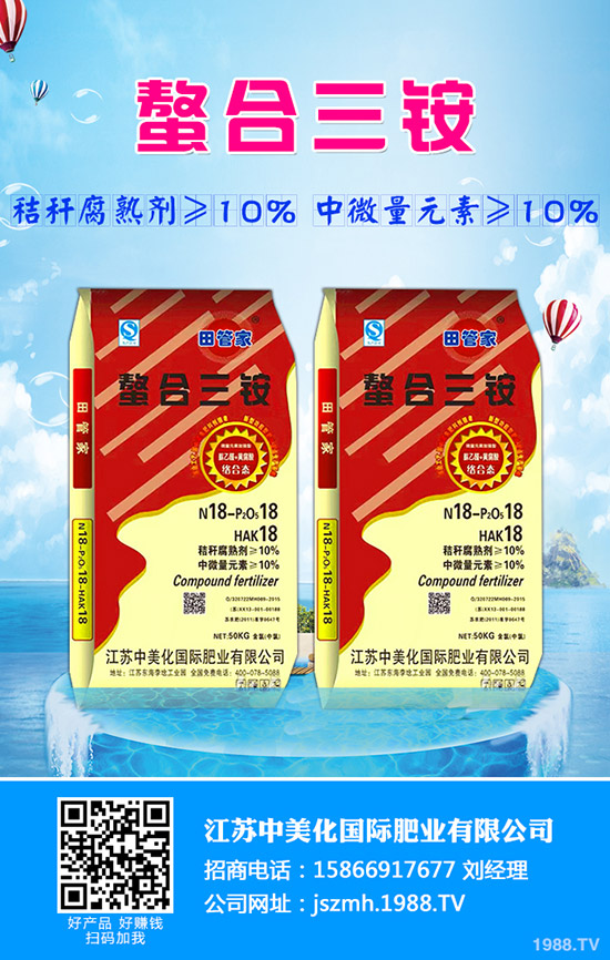 生菜水培的好處有哪些？生菜水培管理方法！