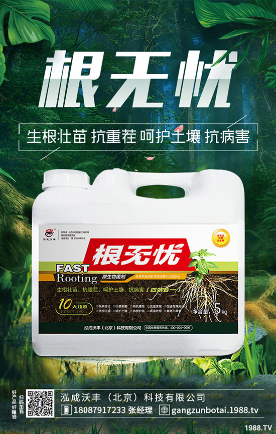 豆角鉆心蟲(chóng)危害大、抗性大怎么辦?豆角鉆心蟲(chóng)綜合防治!