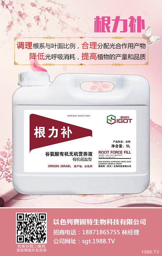 С��������Ҋ(ji��n)�Ĳ�������Щ��ԓ��η���������С���������η�����B