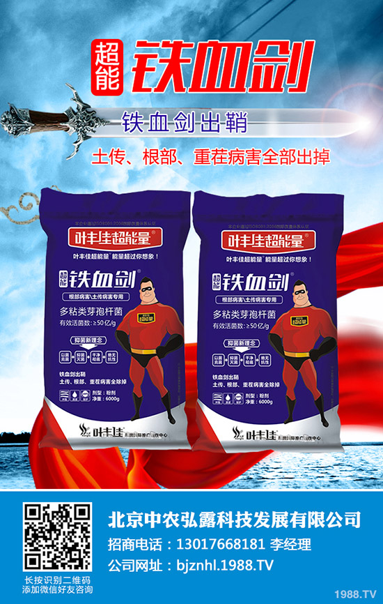     溫室番茄白粉虱的危害，溫室番茄白粉虱怎樣防治？