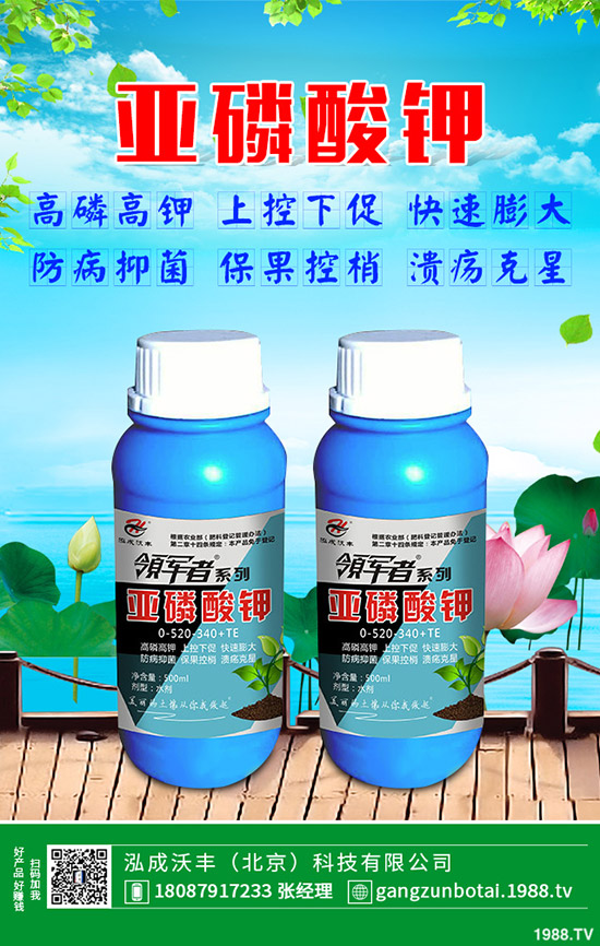 有機(jī)蔬菜與無(wú)公害蔬菜的區(qū)別,無(wú)公害蔬菜如何防蟲?