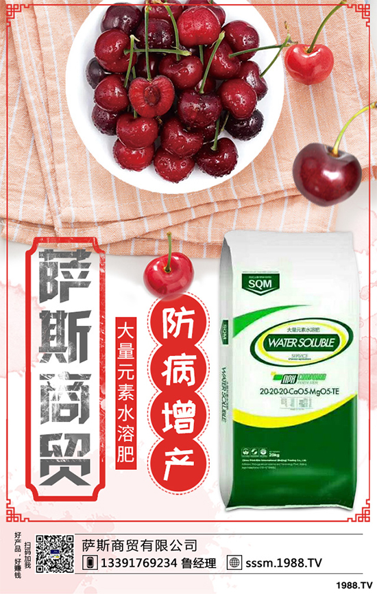 春玉米該如何種植?早春玉米高產(chǎn)種植技術(shù)要點