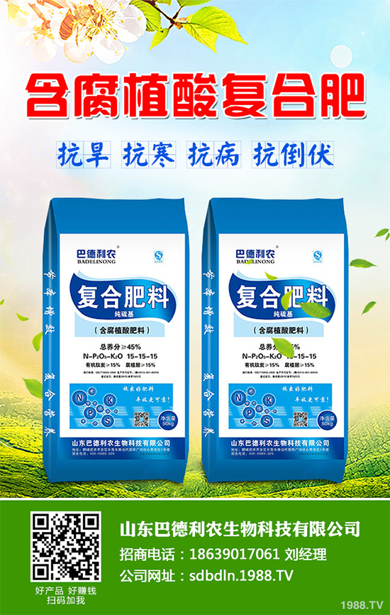 你知道春花生什么時候播種嗎?2020年春花生種植方法講解