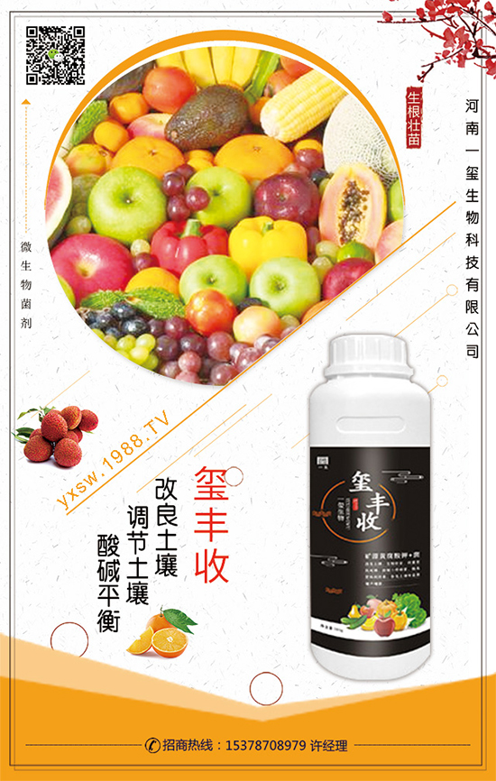 葫蘆的生長(zhǎng)習(xí)性,葫蘆種植技術(shù)要點(diǎn)!