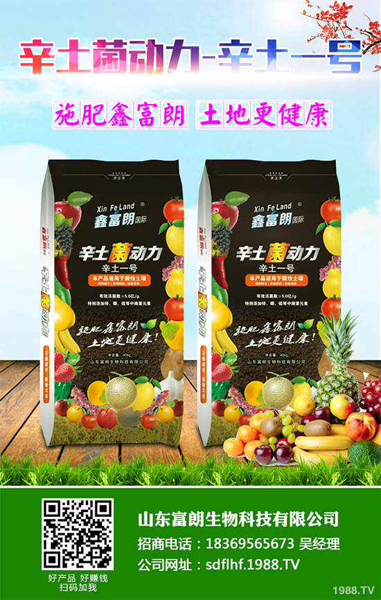 你知道春花生什么時候播種嗎?2020年春花生種植方法講解