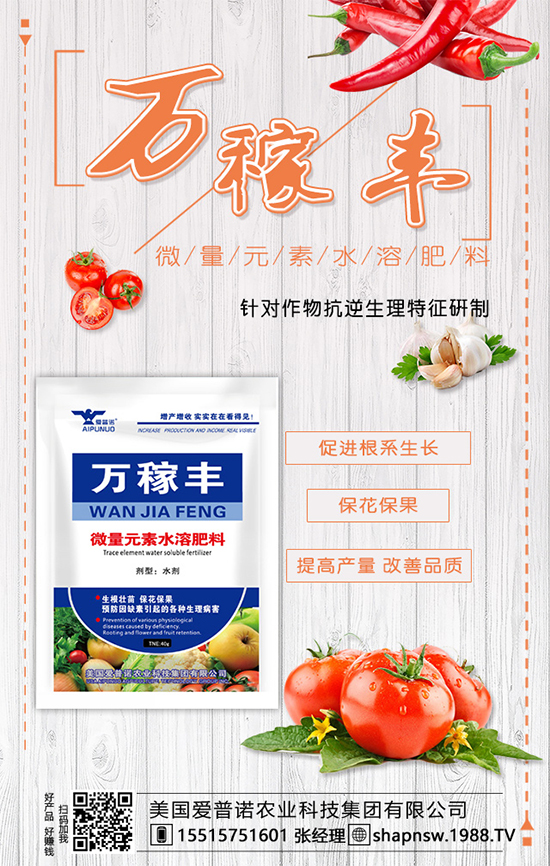 茶葉是什么時候種植的？茶葉的市場前景及種植效益！