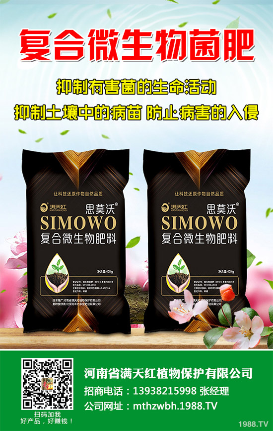 春玉米如何巧施肥?2020年春玉米科學施肥建議