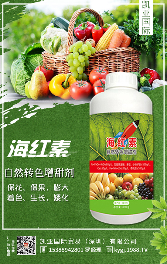 櫻桃蘿卜什么時(shí)間種植?櫻桃蘿卜種植方法!