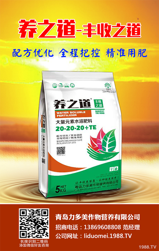 板藍根該如何種植?板藍根高產種植技術要點