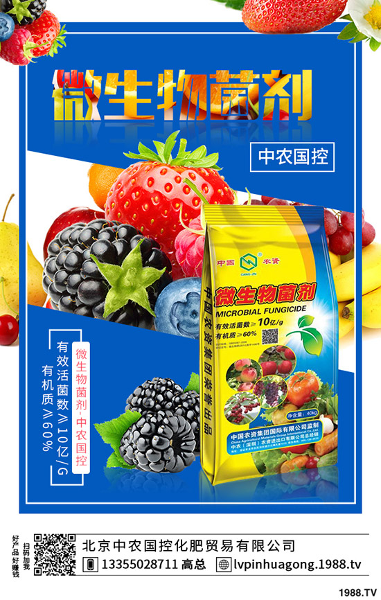 �����ʲô�I(y��ng)�B(y��ng)�r(ji��)ֵ����ϵĹ�Ч��ʳ��ע�����(xi��ng)��