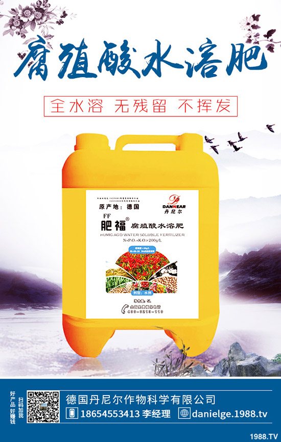 生菜怎么快速催芽?生菜催芽后管理方法!