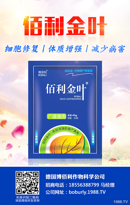 果樹如何預(yù)防肥害,發(fā)生肥害了如何補(bǔ)救?