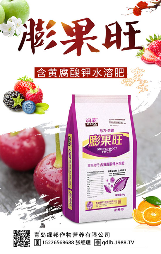 四季豆落花落莢是什么原因？四季豆落花落莢預(yù)防措施！