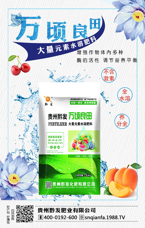 西蘭花育苗技術有哪些,西蘭花育苗的注意事項!