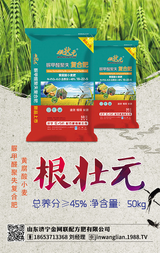 露地茄子該如何種植?茄子春季種植管理技術(shù)要點