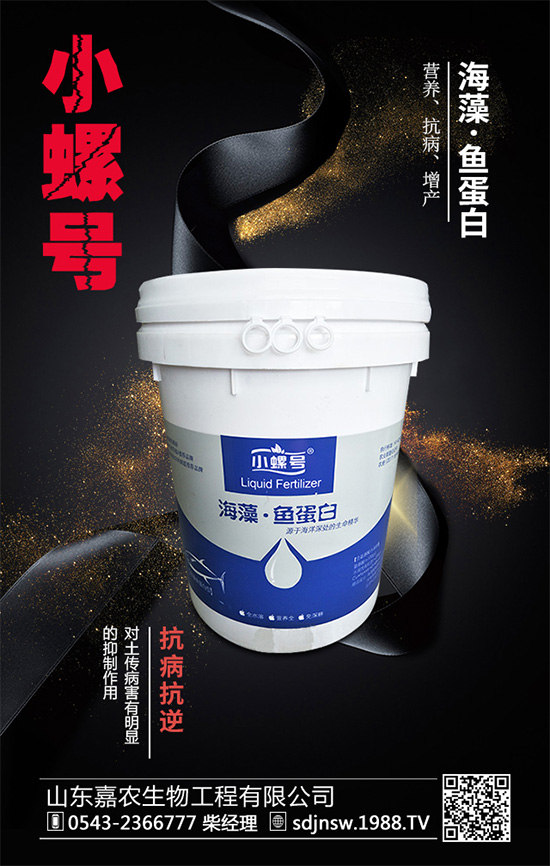 露地茄子該如何種植?茄子春季種植管理技術(shù)要點