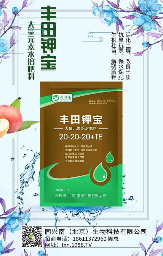 豌豆什么時候種，豌豆種植時間及種植要點！