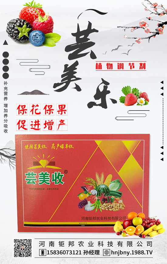 花生白絹病有什么危害？花生白絹病的防治措施！