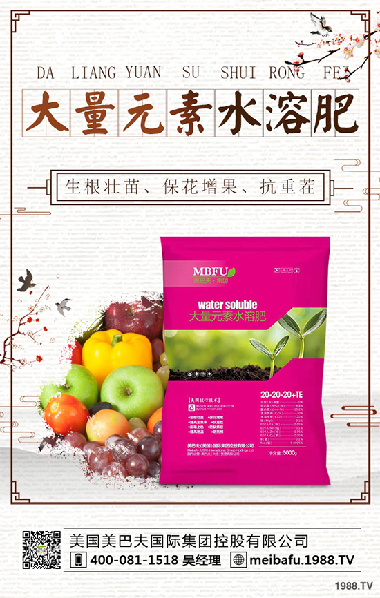 向日葵對種植條件有哪些?花菜的種植管理要點!