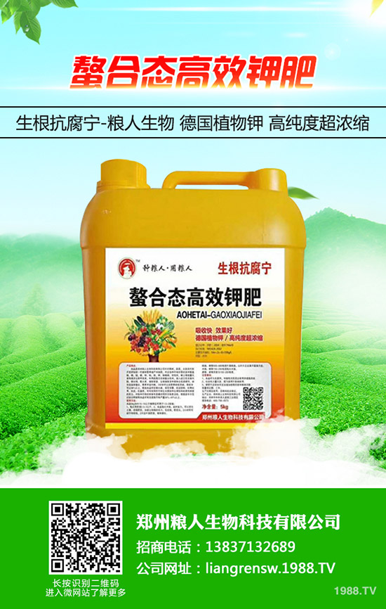 蔥得了灰霉病怎么辦？大蔥灰霉病的防治方法！