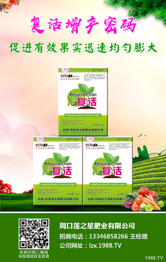 �n�����ʩ�����n����ʲô���Ϻ���