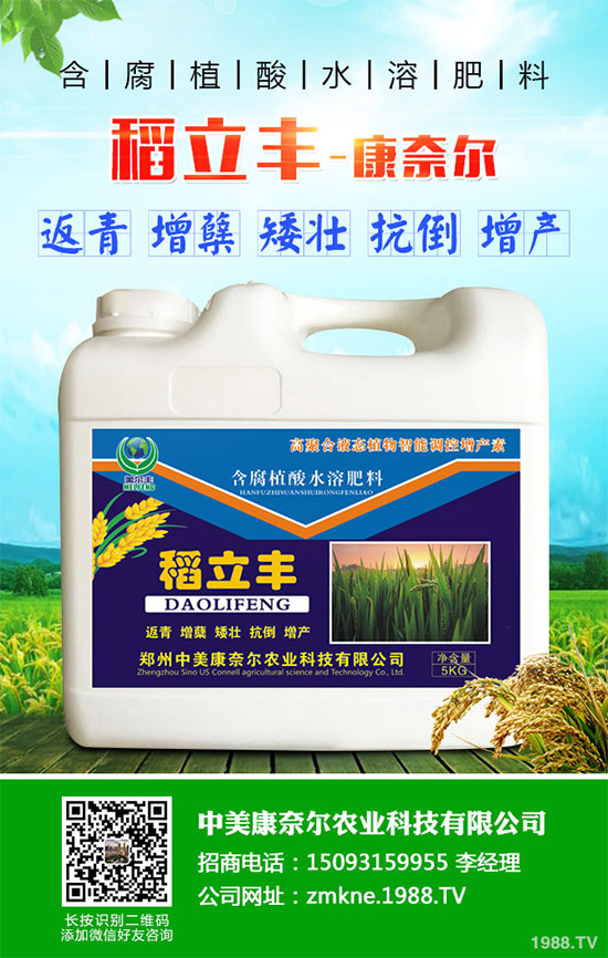 С�����·����������������ж��Ӱ���ԓ����a����С�����·��r��ָ��