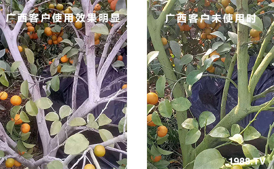 �V���͑�ʹ��Ч�����@��δʹ�Õr��