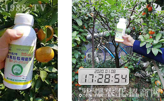 �aƷ�͹����Ӱ��