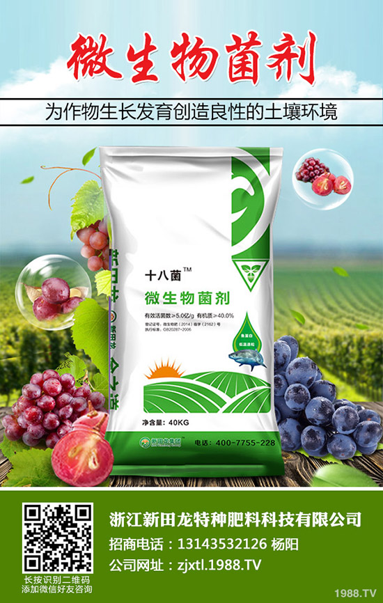 南瓜需肥規(guī)律，南瓜的施肥方法