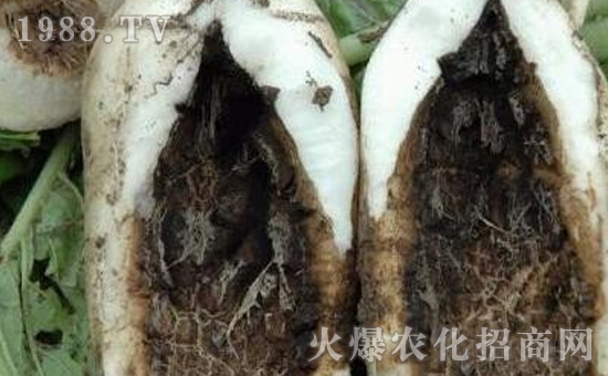 �}���ڸ����İY����}���ڸ����ķ�����