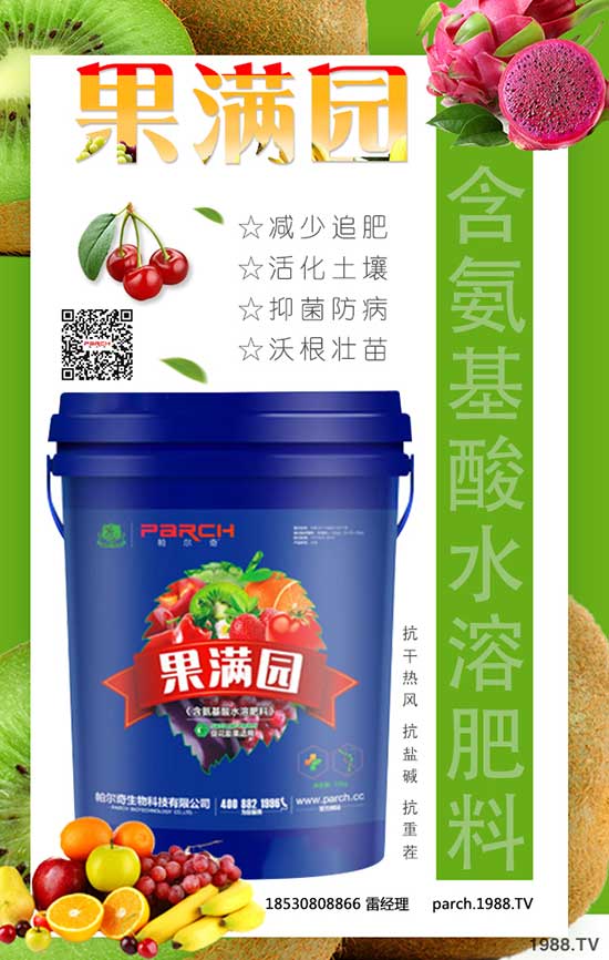 帕爾奇國際集團(tuán)