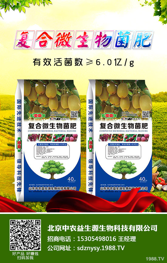 復(fù)合肥價格逐步上漲!2020-3-5今日最新復(fù)合肥行情走勢預(yù)測!