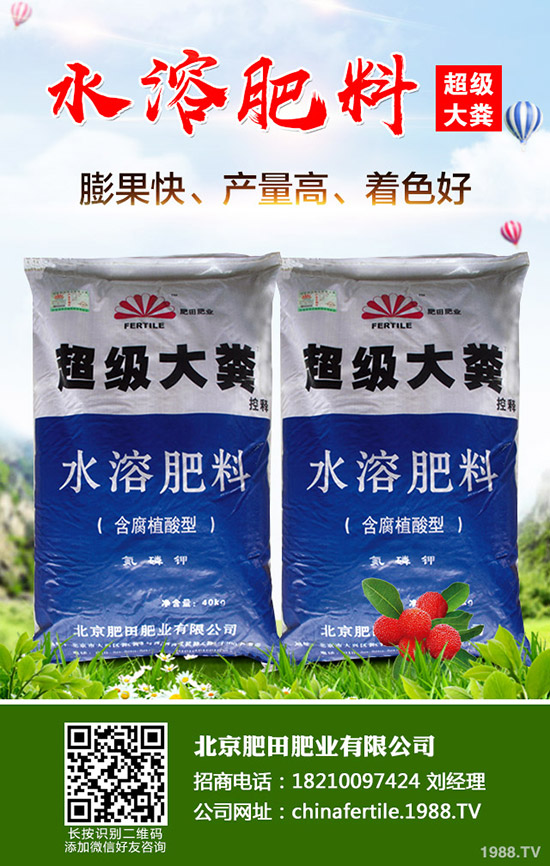 葡萄春季管理到底要做些什么?春季葡萄管理技術!