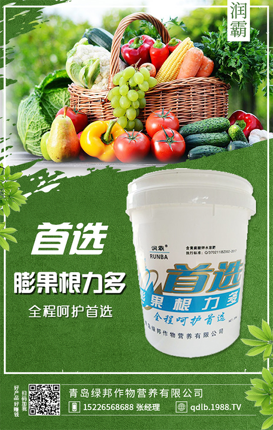 萬(wàn)年青插桿及播種要點(diǎn),室內(nèi)萬(wàn)年青種植注意事項(xiàng)!