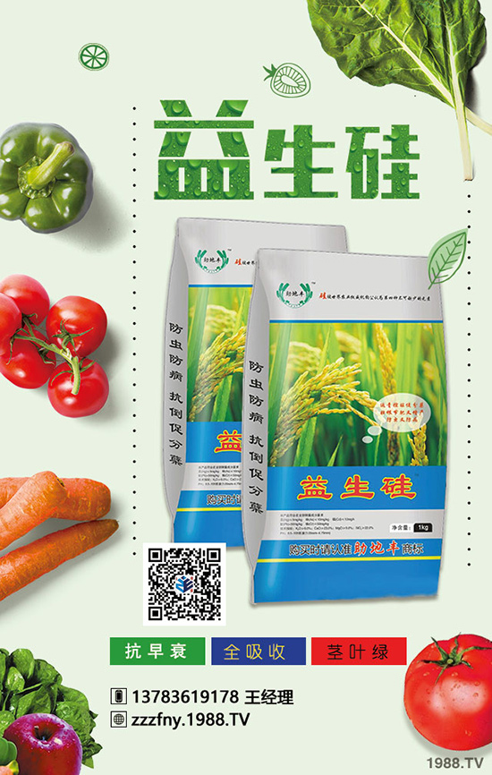 春季種好菠菜施肥與技巧不可缺少!