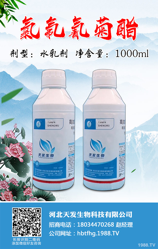 ����(n��i)���x���r(ji��)�������߄�