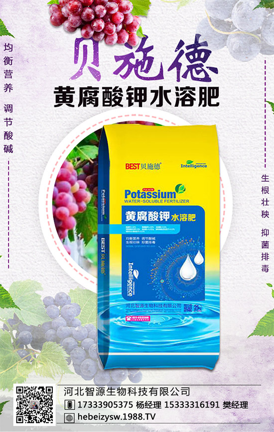 西瓜的生育周期,西瓜播種要點及種植密度!